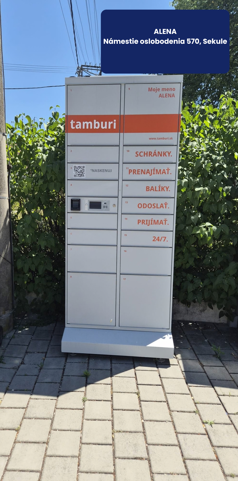 Tamburi box Alena