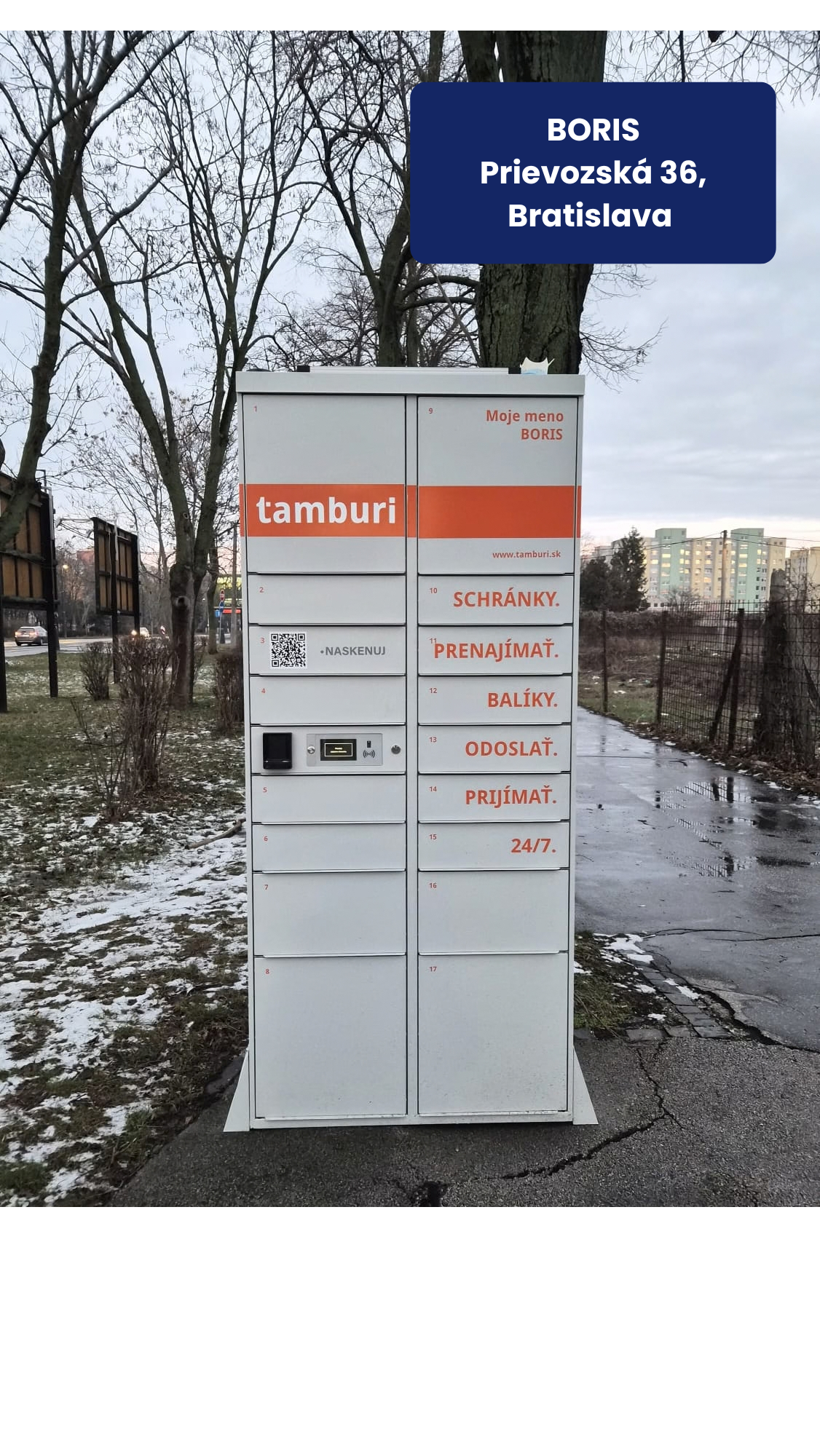 Tamburi box Boris