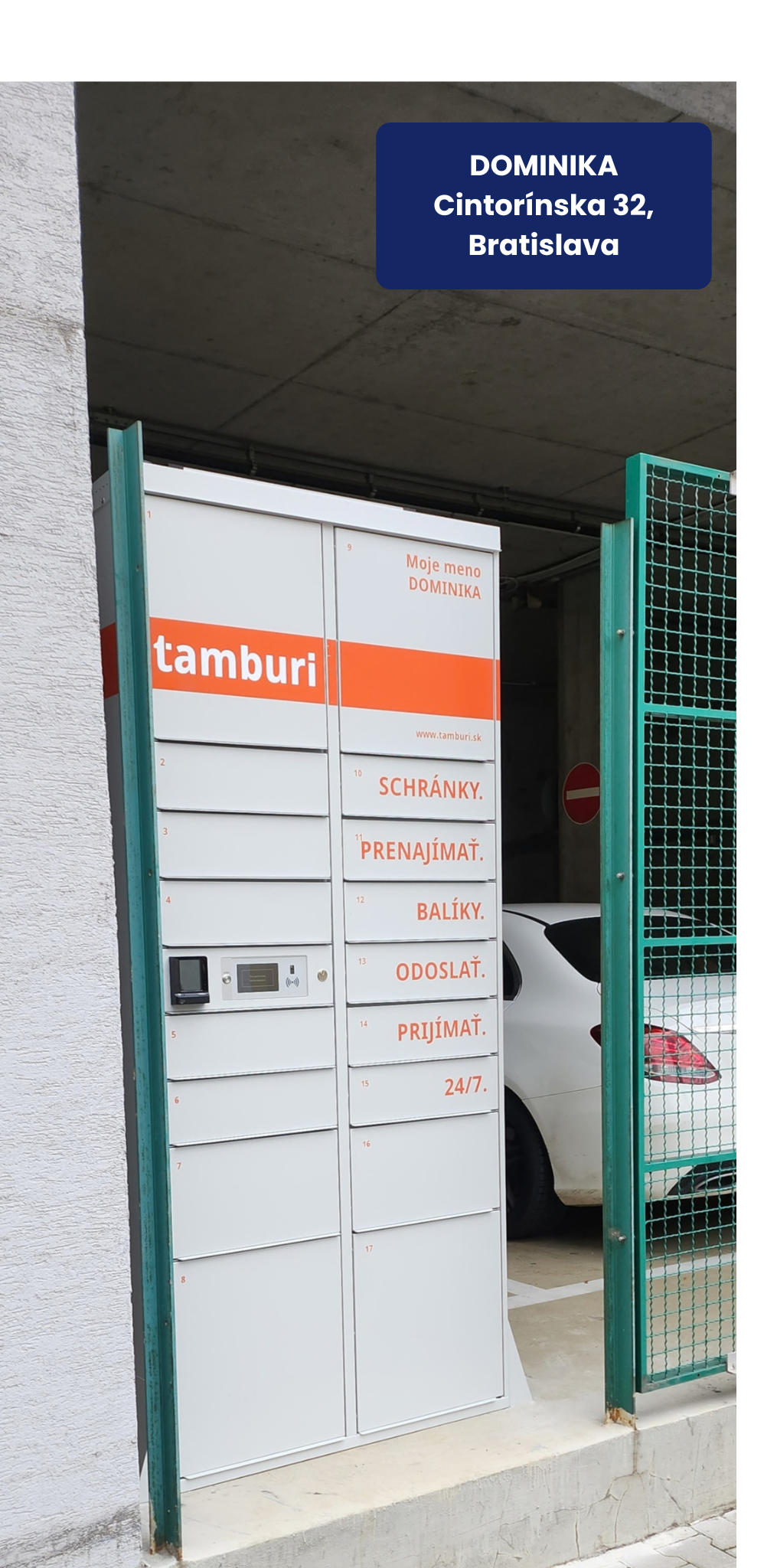 Tamburi box Dominika