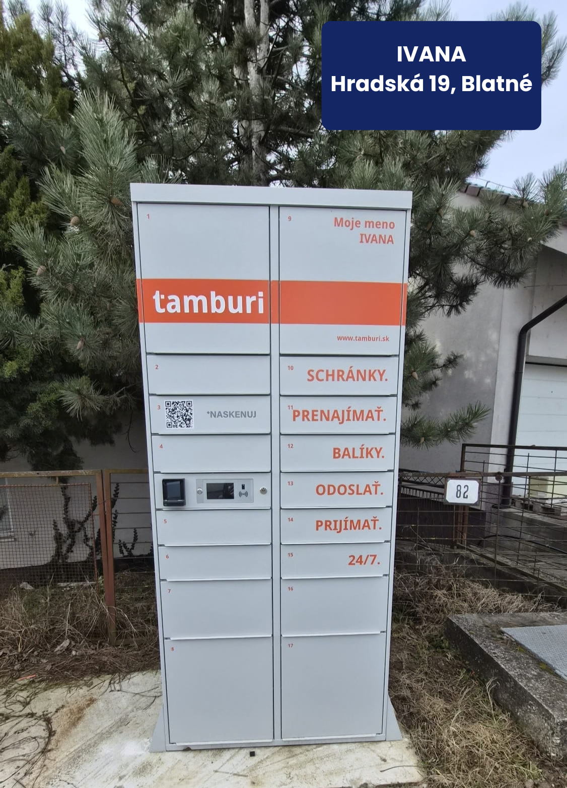 Tamburi box Ivana